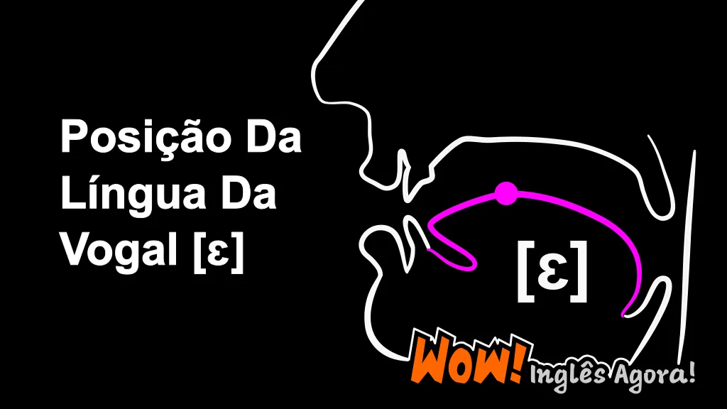 A Posição Relativa Da Língua Na Boca Ao Produzir a Vogal [ɛ].