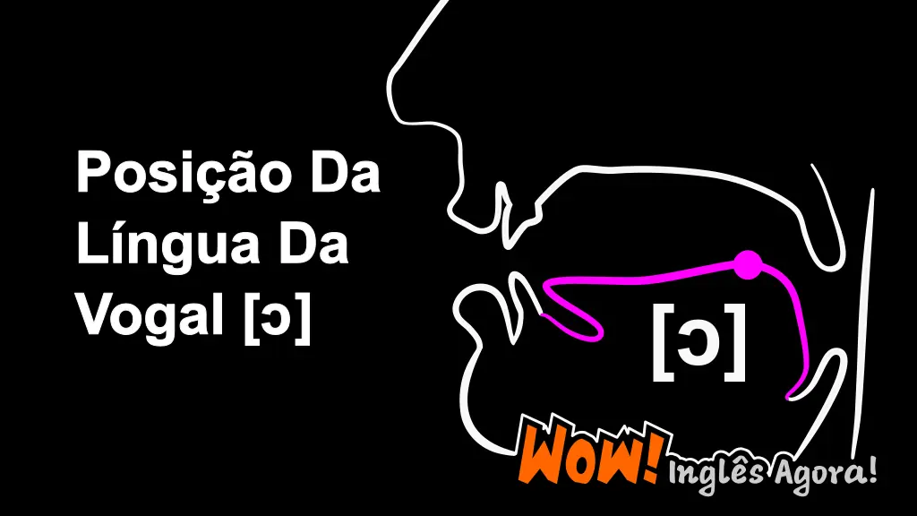 A Posição Relativa Da Língua Na Boca Ao Produzir O Fonema [ɔ].