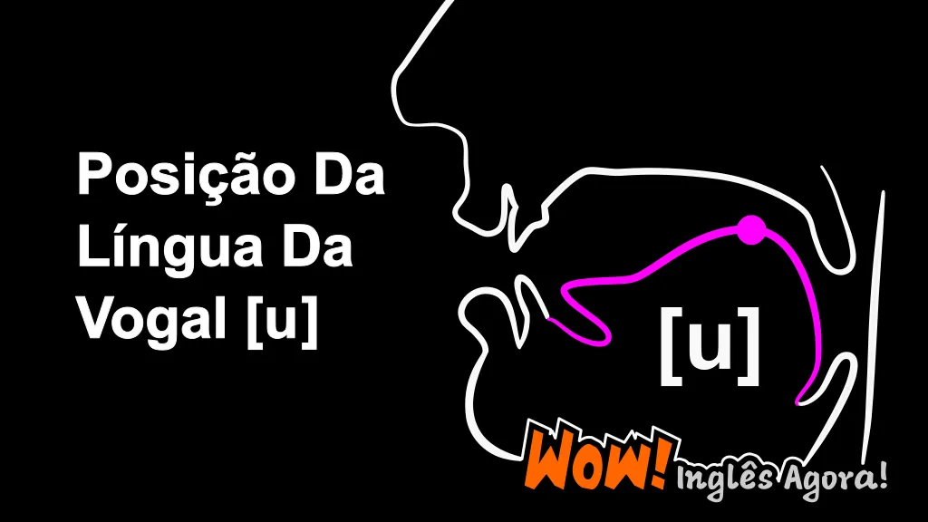 A Posição Relativa Da Língua Na Boca Ao Produzir o Fonema [u].